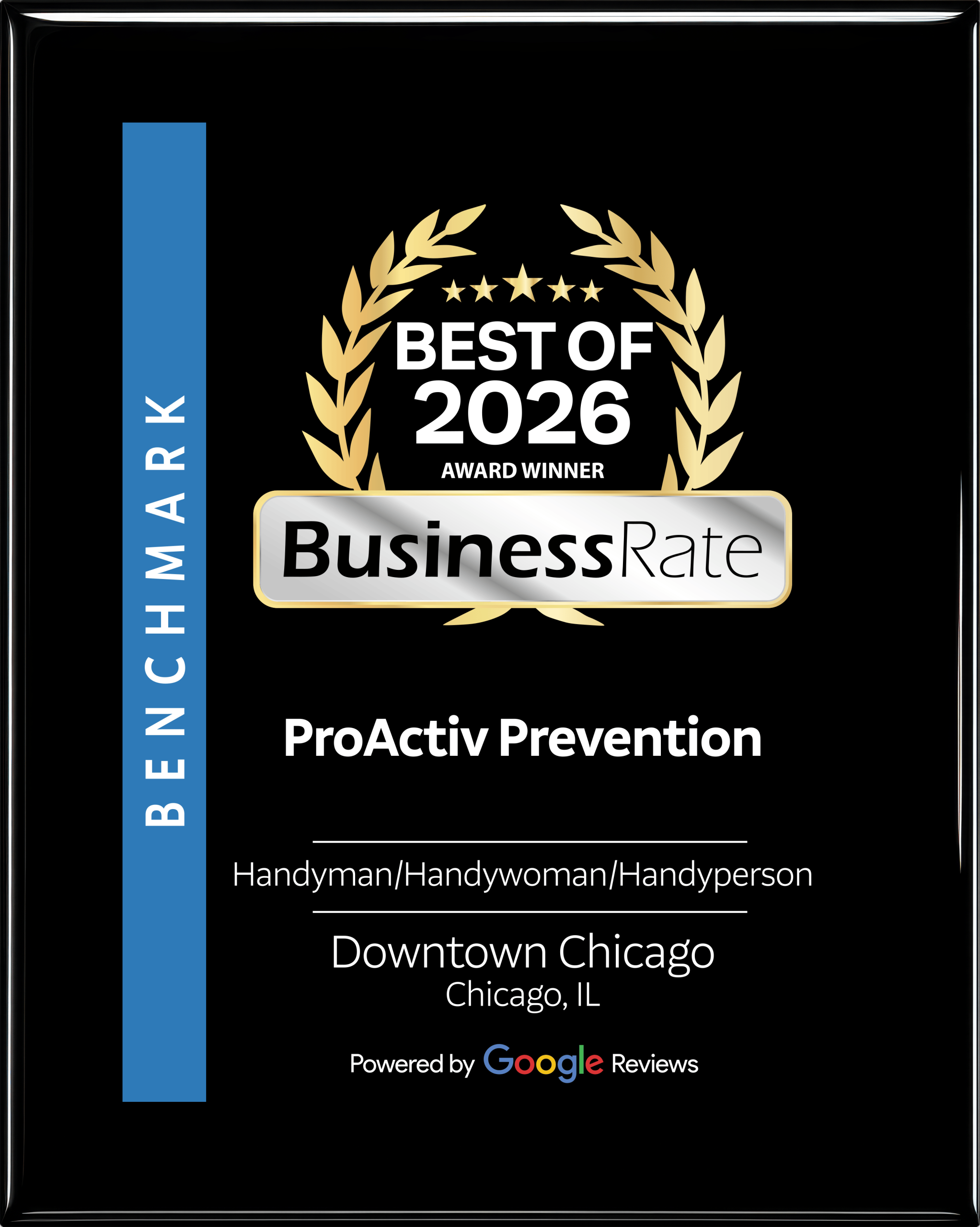 Proactiv Prevention Handyman Services - Handyman Chicago